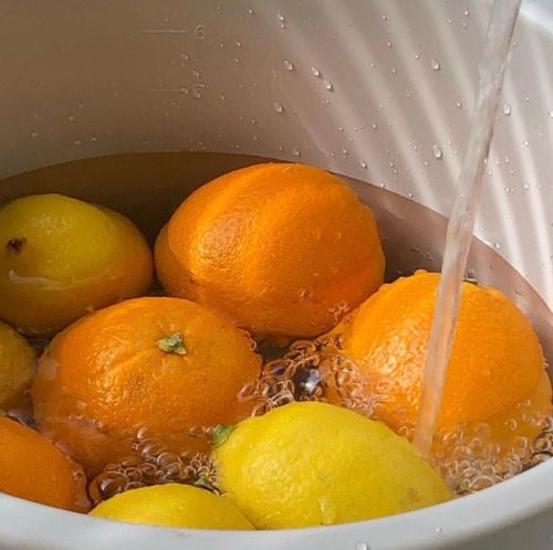 Citrus Oasis